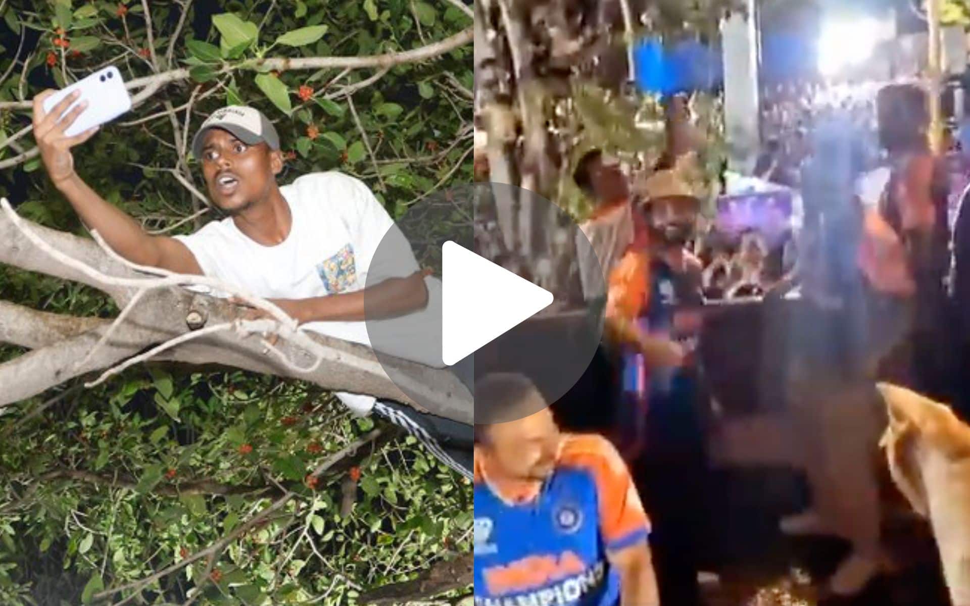 [वीडियो] सामने आई विजय परेड में पेड़ पर चढ़ वायरल हुए 'Tree Man' की बनाई वीडियो, रोहित-कोहली का दिखा ख़ास अंदाज़